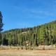 Fales Flat Campground Group Area - Aspen