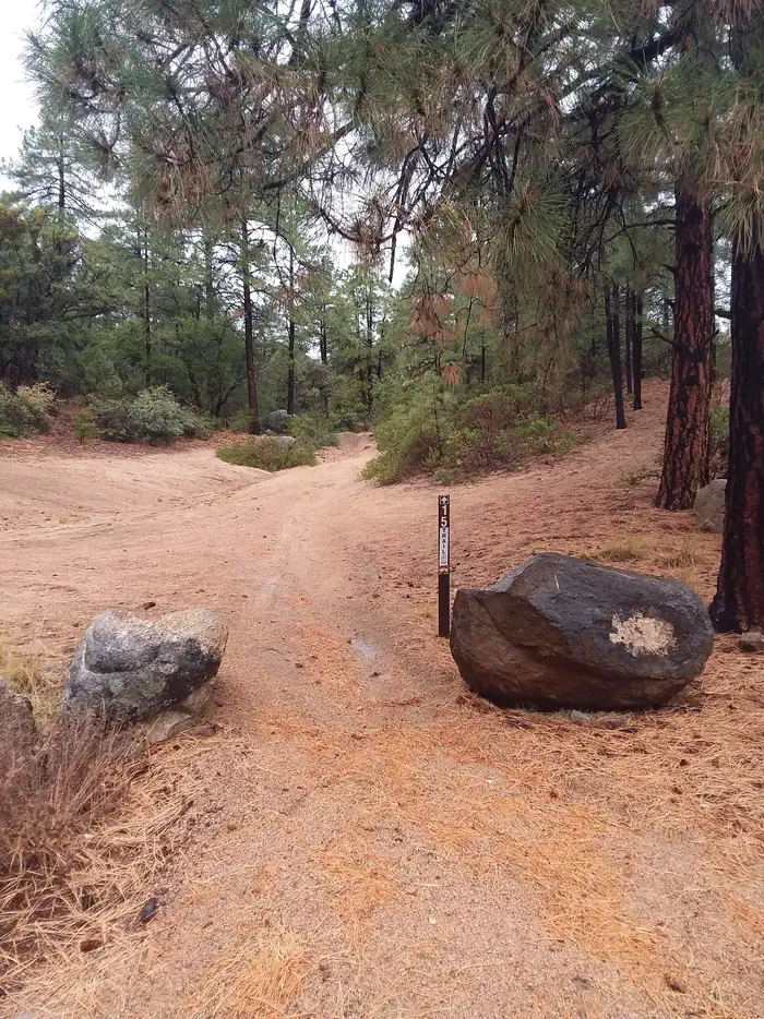 Alto Pit OHV Campground