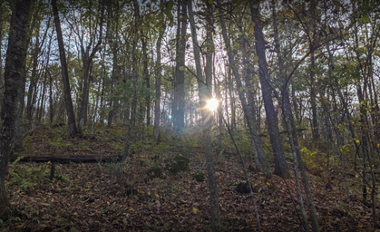 Esofea/Rentz Memorial Park Campground, Viroqua, Wisconsin