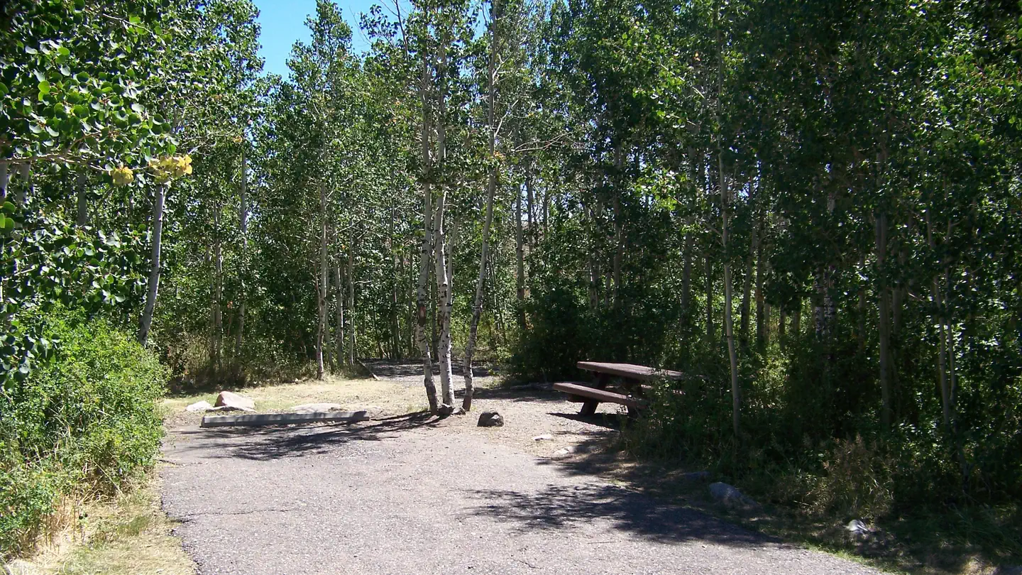 Angel Creek (humboldt-toiyabe National Forest, Nv)