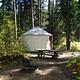 WHITETAIL YURT