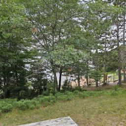 Up North Resort