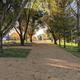 Campground Shaded With Mature Trees | Park Sites in Kieler, WI