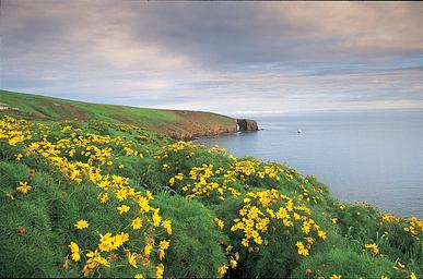 Santa Barbara Island