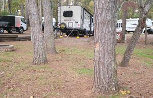 2020 like new Forest River RV Rockwood Mini Lite,