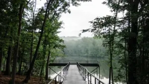 Danville Landing Campground
