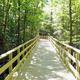 Wooded boardwalk/nature-trail photo depicting onsite walking trails and forested scenery — appears on the site as part of the campground amenities.