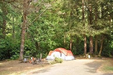 SUTTON CAMPGROUND