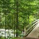 North Fork Beaver Group Camp