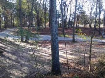 Hatchie Cove Campground