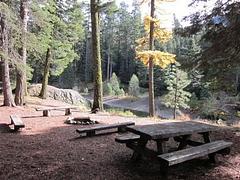 Picnic tables with forested backdrop.