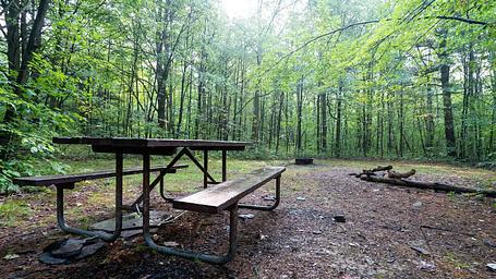 Potomac Group Camp 3