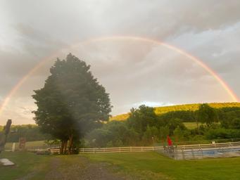 Andelyn Farm