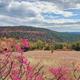 Campspot slideshow image 3