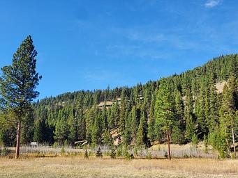 Fales Flat Campground Group Area - Aspen