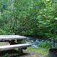 Picnic table and fire ring next to swift, shrub lined creek.