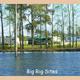 Martinfield Plantation and Big Cypress Lake photos