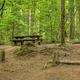 Moss Creek campground
