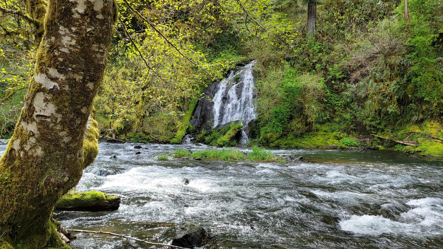 Alder Glen Recreation Site