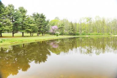 Appalachian Campground
