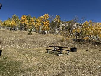 Currant Creek Guard Station, Loop: Currant Creek Guard Station