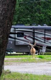 Campspot slideshow image 5