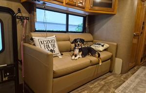 2016 Thor Motor Coach Palazzo  - Live In Luxury!