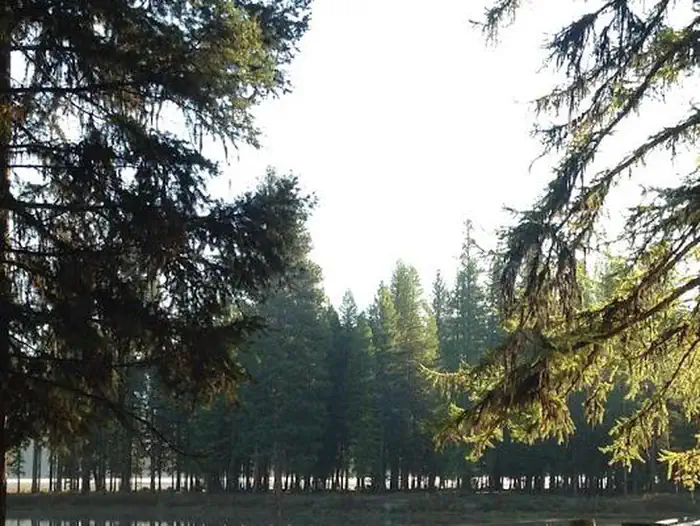 River Point Lolo Campground (MT)