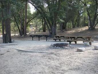 Council