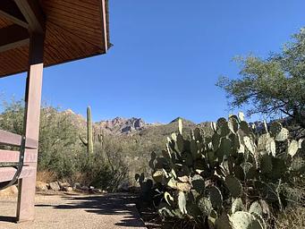 Views of mountains and cactus just outside the ramada
