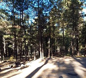 SINKHOLE Campground Partially Shaded Standard Site