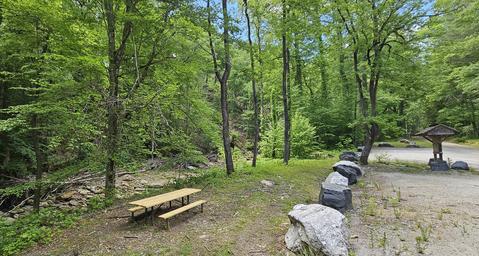 Curtis Creek Campground Picnic Area