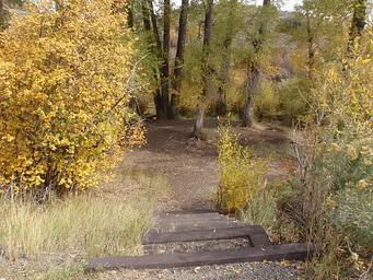 001, Loop: RED CREEK GROUP SITE