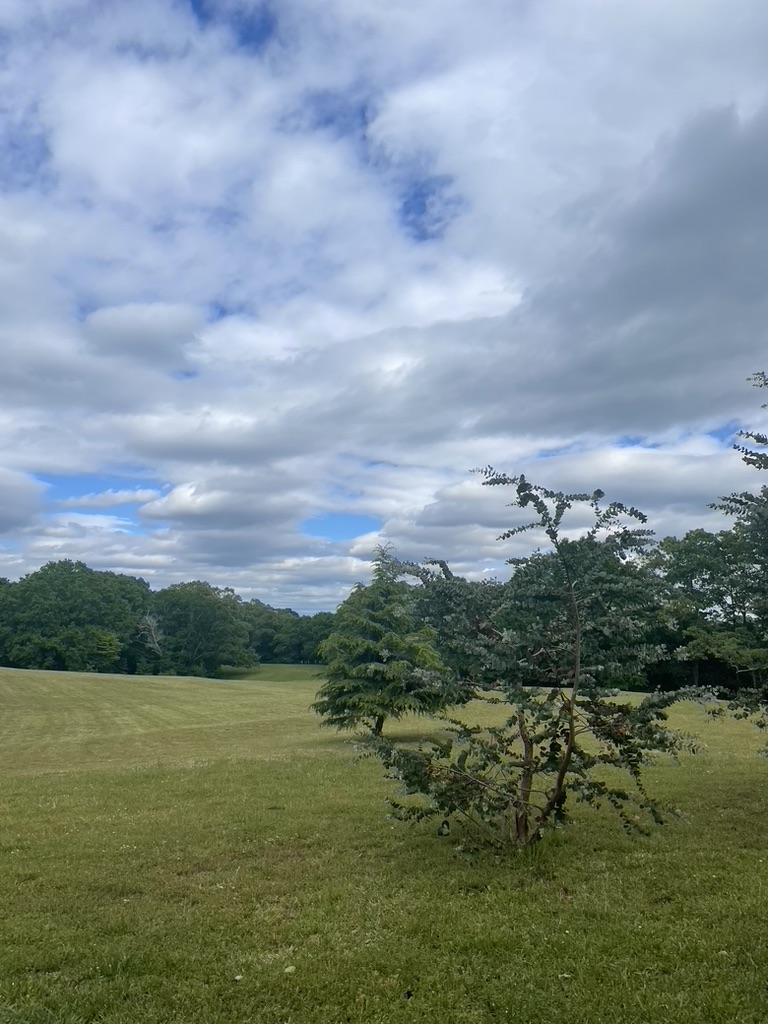 Ivy Acres RV Park