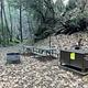 Crystal Creek Primitive Campground 