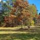 Campspot slideshow image 1
