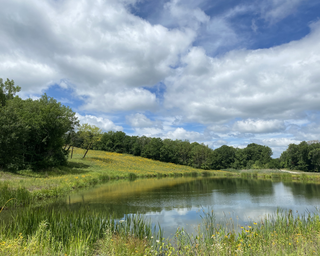 Scenic pond with surrounding meadow and trees — useful for showcasing on‑site natural features and grounds (appears on the property home page).