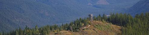 001, Loop: AREA YAAK MTN. LOOKOUT RENTAL