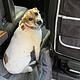 2022  Promaster 3500 ext Off Grid  White Knight