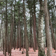 Campspot slideshow image 3