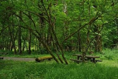 Blue Lake Creek Campground