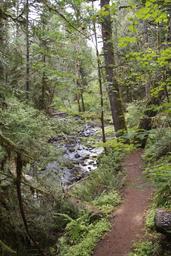 Shotgun Creek Recreation Site