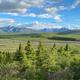 Wide landscape view across tundra/low forest to distant mountain range — scenic view likely visible from the property and useful to illustrate surrounding scenery (homepage image).