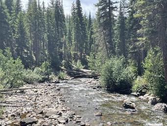 Seedhouse Campground