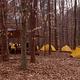 Multiple yellow tents clustered among fallen leaves