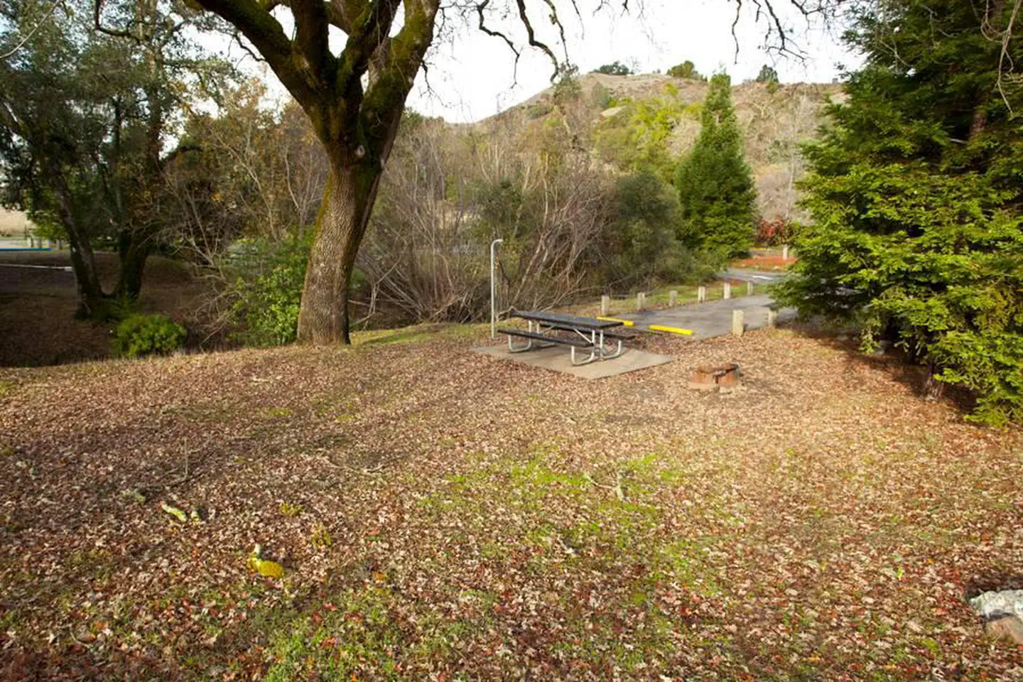 Liberty Glen (lake Sonoma)