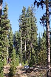 Barneys Campground (Boise National Forest, ID)