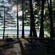 Lake Loop Campsite