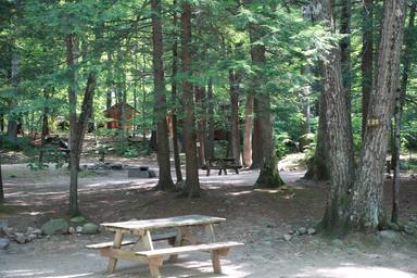 Wooded tent/campsite area with picnic table and numbered site marker visible — useful view of the campground’s shaded tent/cabin areas and site layout.