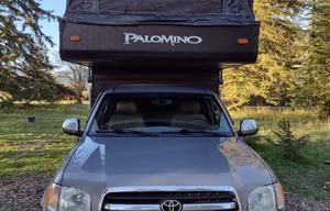 Pack-n-Play Palomino
